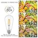 Kohree ST58 Vintage LED Light Bulb 60W Equivalent, Warm White 2700K, 6W Dimmable LED Filament Bulb E26 Base Lamp for Home, Restaurant, Reading Room, 6 Packs