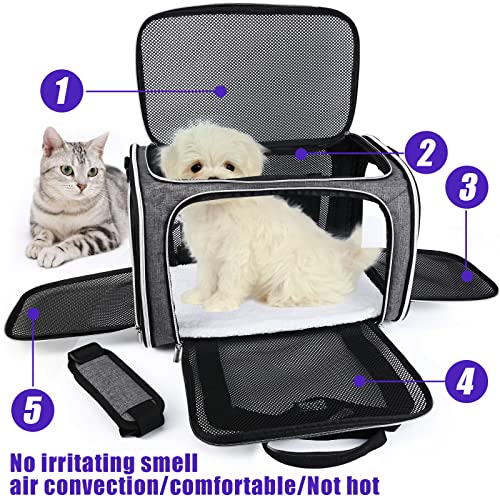 Baglher Pet Travel Carrier, Cat Carriers Dog Carrier For Small Medium Cats Dogs Puppies, Airline Approved Small Dog Carrier Soft Sided, Collapsible Puppy Carrier. Grey #TOP1