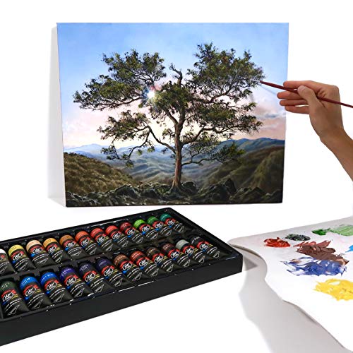 Acrylic Paint Set Of 24 Vivid Colors, Large Tubes (37 Ml, 1.25 Oz) - Perfect Acrylic Paint Sets For Adults & Kids, Rich In Pigments - Acrylic Paint Kit For Paper, Canvas, Rock, Wood & Fabric #TOP6