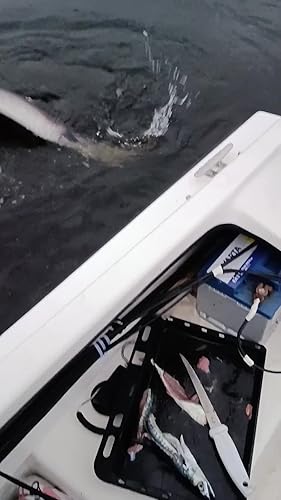 9Tong Kugellager Wirbel mit Coastlock Snap, Edelstahl geschweißter Ring für Angeln Salzwasser