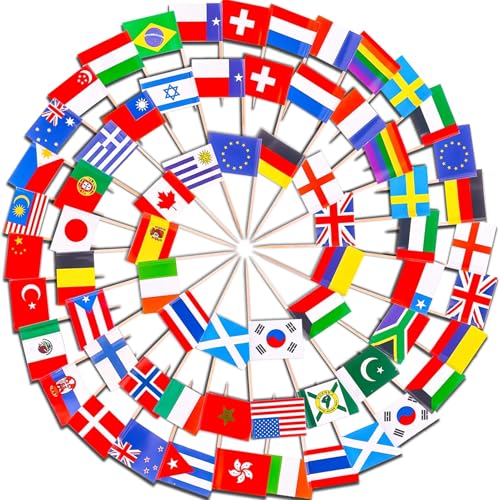 100 Stück Länder Internationale Zahnstocher Cocktail Flaggen,Doppelseitiger Europa Deko Zahnstocher Klein，Weltflaggen Fahne Zahnstocher für Partydekoration Cocktail Fruit Stick Cupcakes Topper