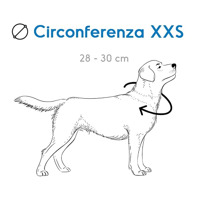 Foto 5 de 5 de Record - Collar Perro Andes - Fabricado en Nylon Resistente - Detalles Reflectantes