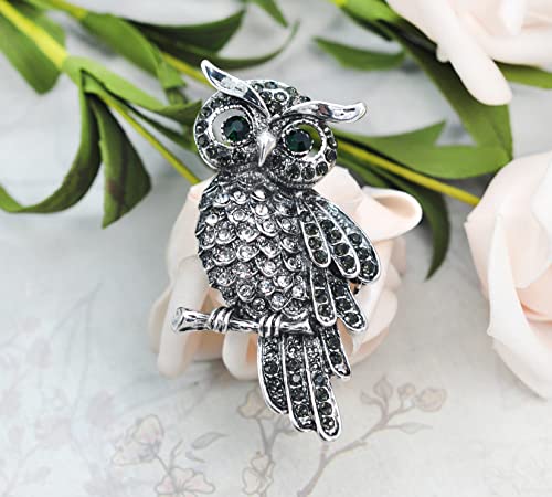 Image of Gyn&Joy Womens Crystal Rhinestones Perched Owl Bird Brooch Pin