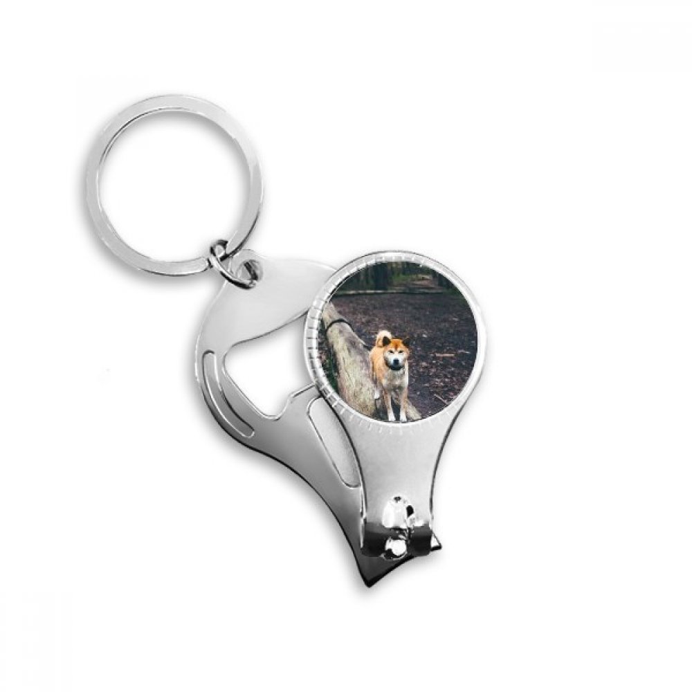 Ciseaux coupe-ongles bague d'orteil et ouvre-bouteille animal domestique