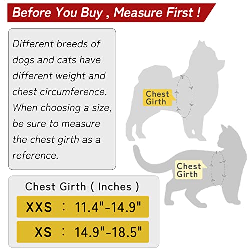 Miru Pochi Harness For Small Dogs And Cats With Leash Set Soft Adjustable No Pull Easy Walk No Choke Easy To Put On Puppy Harness With Padded Vest For Extra Small Dogs (Pink Xxs) #TOP5