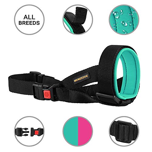 Bronzedog Soft Padded Dog Muzzle Adjustable Neoprene Comfort Bitting Chewing Pet Muzzles For Small Medium Large Dogs Puppy (Mint Green, Small) #TOP1