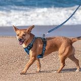 SIBOTER Hundegeschirr mit Hundeleine, Reflektierendes Hundegeschirr Kleine Hunde, mit Einfache Kontrolle Griff und Rückseite perfekt für Spaziergänge im Freien (Blau Kariert, M)