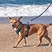 SIBOTER Hundegeschirr mit Hundeleine, Reflektierendes Hundegeschirr Kleine Hunde, mit Einfache Kontrolle Griff und Rückseite perfekt für Spaziergänge im Freien (Blau Kariert, M)