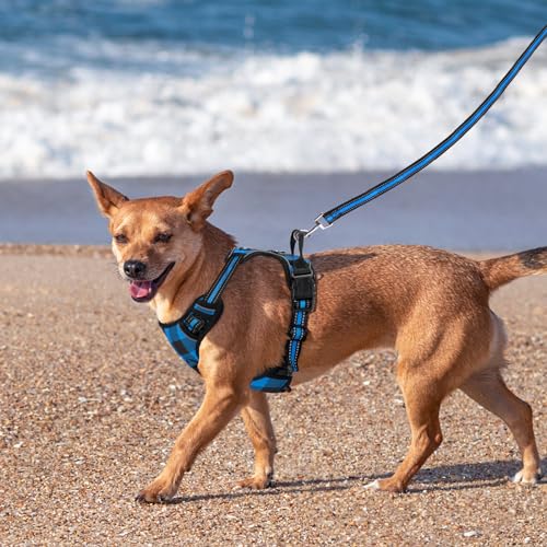 SIBOTER Hundegeschirr mit Hundeleine, Reflektierendes Hundegeschirr Kleine Hunde, mit Einfache Kontrolle Griff und Rückseite perfekt für Spaziergänge im Freien (Blau Kariert, M)