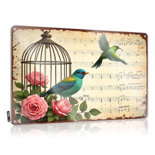 Oiseaux, cage, roses, notes de musique. Art mural antique cool | Décoration amusante pour chambre à coucher, style vintage, décoration de salle de jeux...