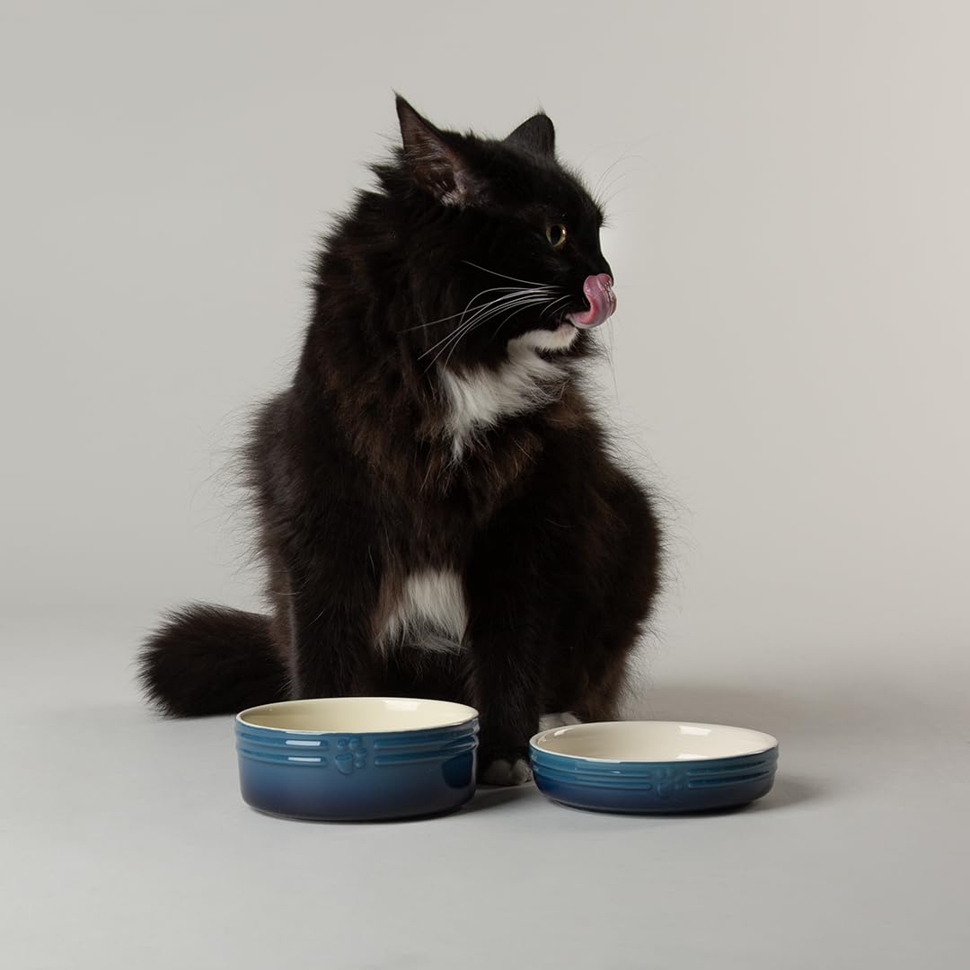 Scruffs Ombre 2pc Cermaic Cat Food & Drink Bowl Set - Blue