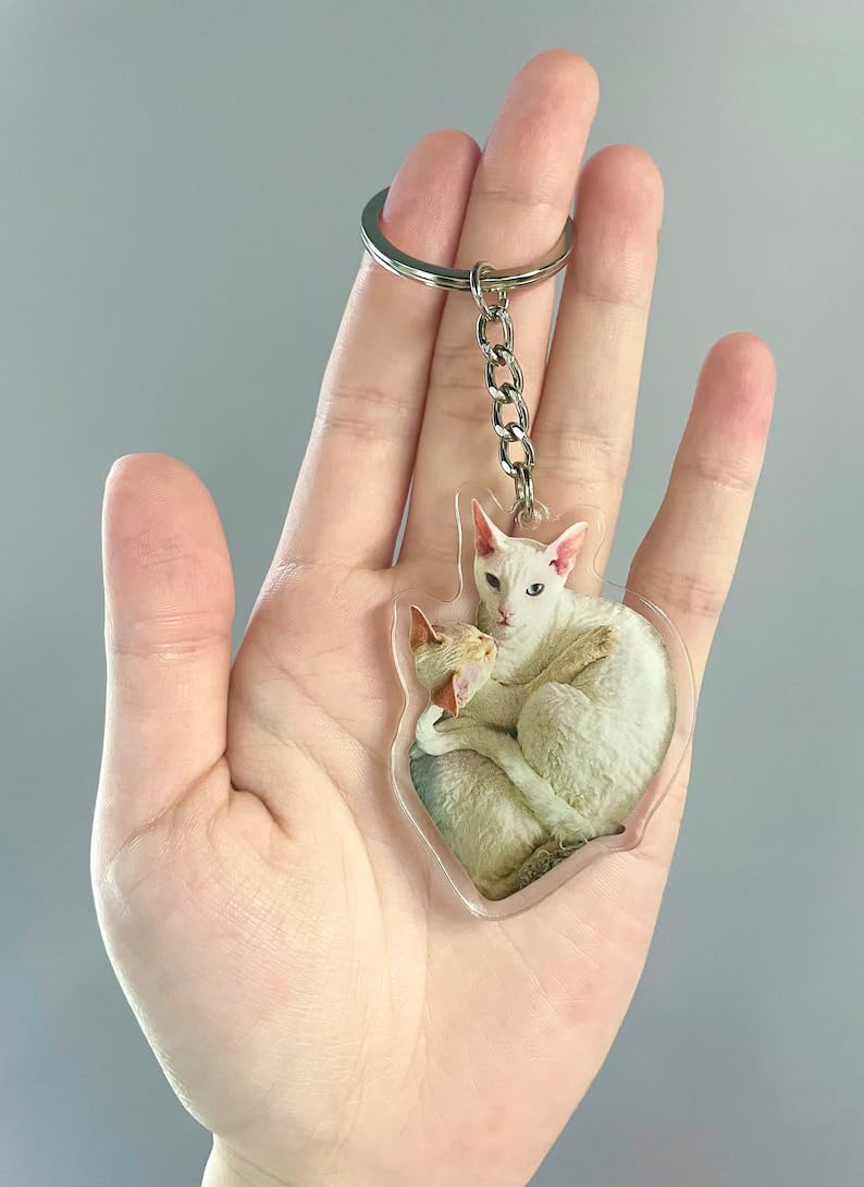 Cool Vibe Store Personalized Pet Photo Keychain - Custom Acrylic Photocut Keychain, Pet Photo Gift, Gift for Pet Parents, Family, Birthday Gift - Size: 3.15 x 3.15 inches (8 x 8 cm)