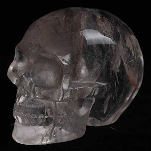 Hjt Hongjintian Crystal Natural Clear Quartz Skull 3.82" L 1.65Lbs #TOP3