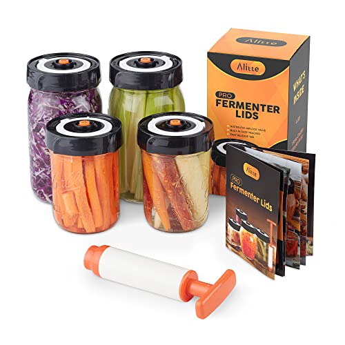 Our Best Jillmo Fermentation Kit Top 20 Model Reveled!