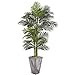 Nearly Natural 7? Golden Cane Artificial Palm Cement Planter Silk Trees Green