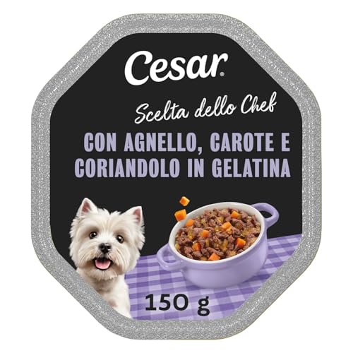 Cesar Scelta Dello Chef Cibo Umido per Cane con Agnello, Carote e Coriandolo - 1 Vaschetta da 150 gram