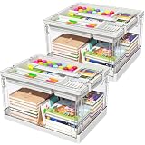 GeeBom 24QT Clear Craft Organizer 2-Pack