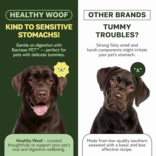 Image of Dog Dental Powder with Icelandic Kelp, Enzymes & Green Tea - Dog Breath Powder & Tartar Remover - Dental Cleaning for Dogs - 8.5 oz (120 Servings)