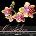 Produktbild Orchideen 2021 - Bild-Kalender 33x33 cm - Orchids - Blumen - inkl. Notizbereich - Wandplaner - Alpha Edition