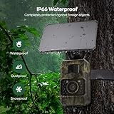 Wildlife Camera WiFi Bluetooth, 48MP 30fps Solar Infrared Trail Camera with Night Vision Motion Activated 0.2s Trigger Trail Cam with 32GB SD Card, 2000mAh Battery Rechargeable for Wildlife Scouting - Image 7