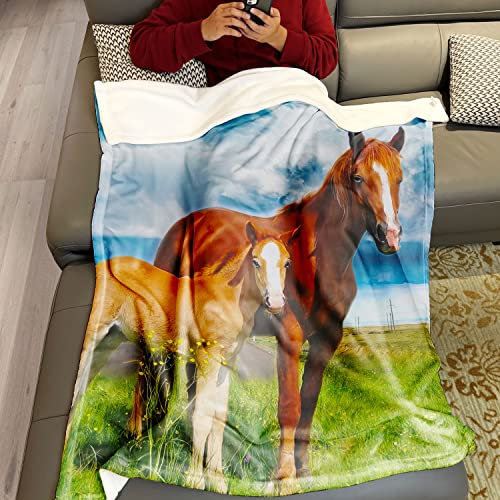 Best Blanket For Horse Lovers
