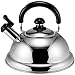 Takei Tk-250 Quickone Energy-saving Fuefuki Whistle Kettle, 2.5l Silver