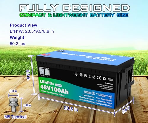 Image of 48 Volt 100Ah Lithium Golf Cart Battery, 48V LiFePO4 Battery with 10A Charger, Gauge, 200A BMS, 4000+ Cycles, 4.8 kWh Energy, Perfect for Golf Cart, RV, Marine, Lawn Mower
