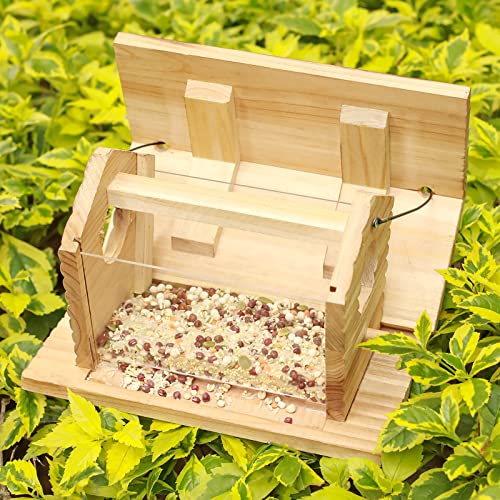 Bird Feeder Mealworms Feeder Bluebird House Feeder Hanging Bird Feeders For Outdoors Squirrel Proof Bird Feeder #TOP4