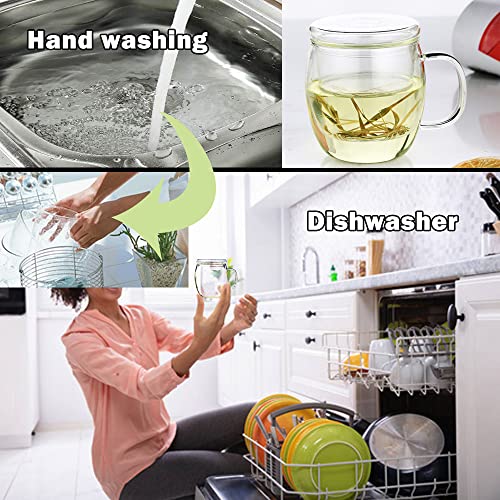 Bunhut Glass Tea Cup with Infuser and Lid,500ml (17oz) Borosilicate Glass Tea Mugs for Loose Leaf Tea,Glass Tea Cups with Filter for Black Tea,Great Loose Tea-leaf Brewing System