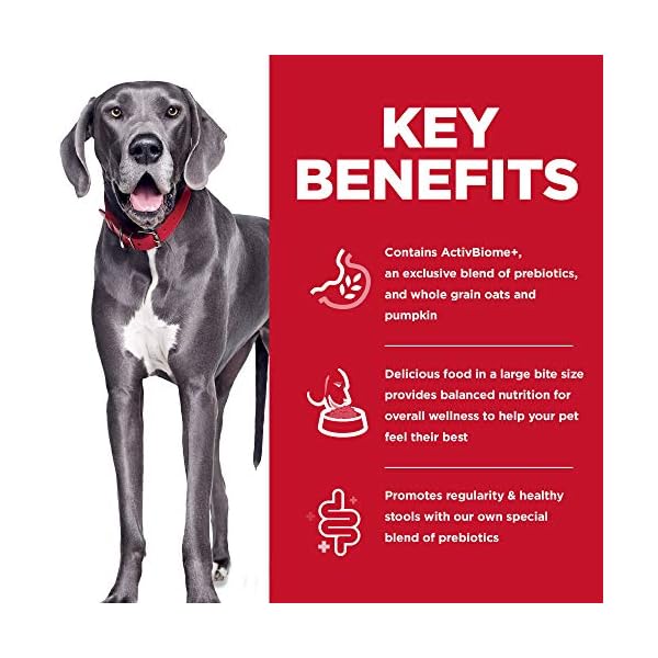 Hill’s Pet Nutrition Science Diet Adult, Large Breed Dog Dry Food Perfect Digestion Chicken 22 lb Bag Hill’s Pet Nutrition Science Diet Adult, Large Breed Dog Dry Food Perfect Digestion Chicken 22 lb Bag