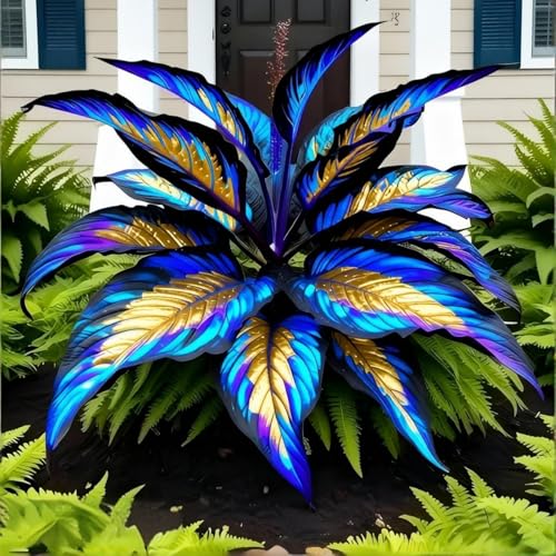 OJHJXUG Giant Elephant Ear Alocasia - Cold Tolerant Compact - Outdoor Shade - Deep Hues - 2 Pcs