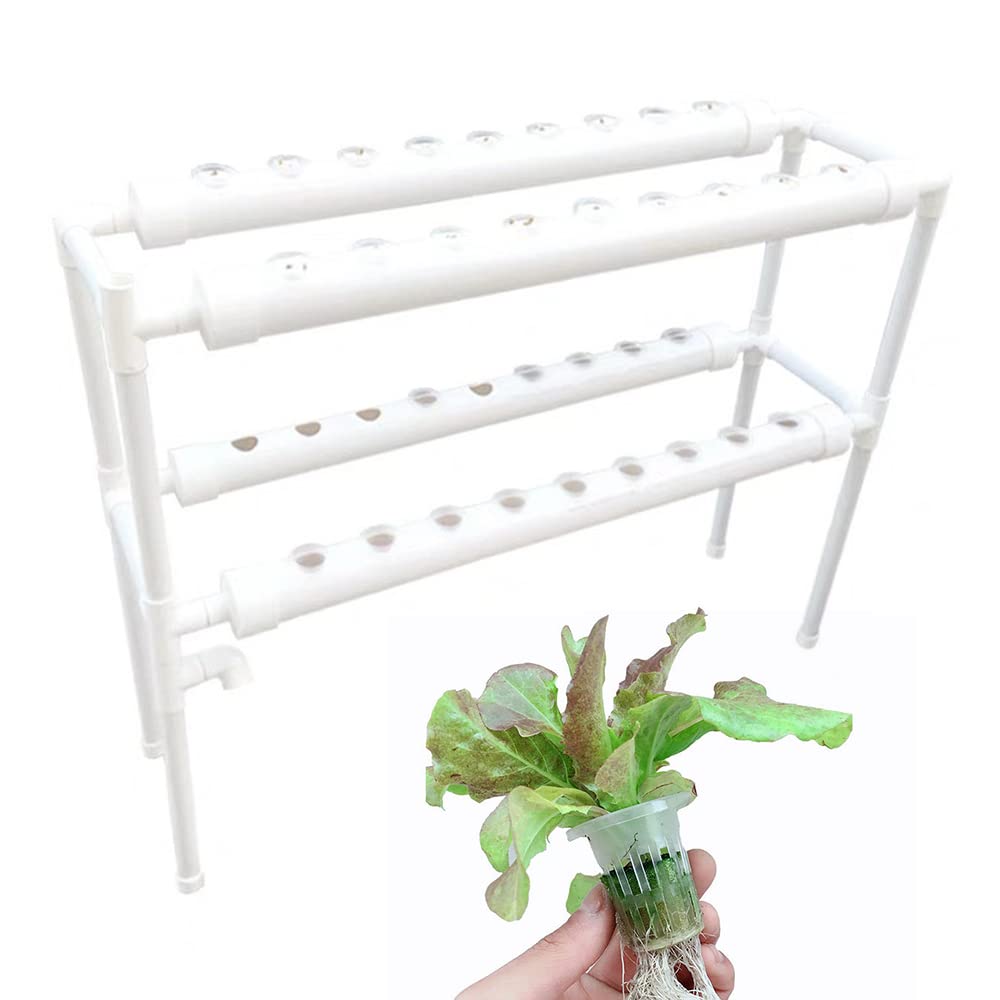 2 Layer Hydroponische Systeme 36 Plant Sites Plant Vegetable Hydroponic System Automatisches Bewässerungssystem für Balkon 95 x 30 x 65 cm