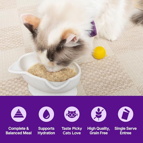 Image of Wellness Appetizing Entrees Age Advantage Shredded Senior Wet Cat Food, Natural, Protein Rich, Grain Free, Chicken and Duck Recipe, 1.4 oz, Pack of 8 Pouches