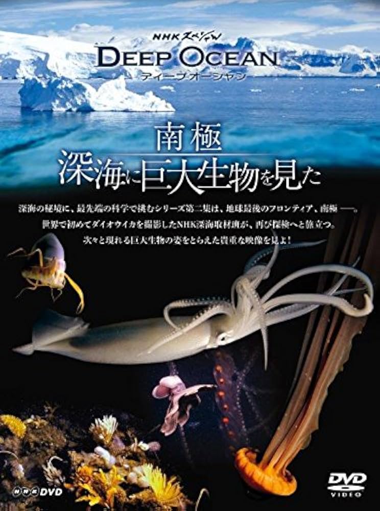 TURTLE /深海の水のように+DVD TURTLE /深海の水のように+DVD Amazon
