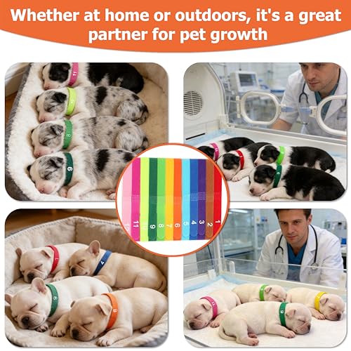 Image of Newborn Puppy Collar Set of 12 with Numbered Tags & Weight Tracker Chart, Soft Adjustable Kitten Collar, Puppy Collars for Litter, Whelping Supplies for Kitten Small Dogs (S /M /L) (M)