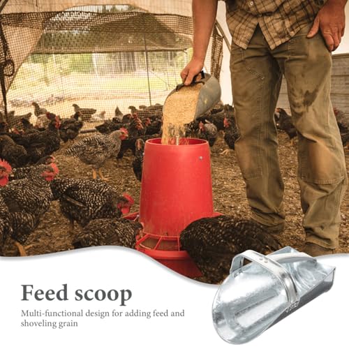 Pelle pour alimentation volaille et distribution de grain à la maison