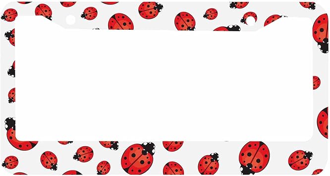 Decorative License Plate Frame Pattern Car Tag Frame Aluminum Auto License Plate Holder for Men Women