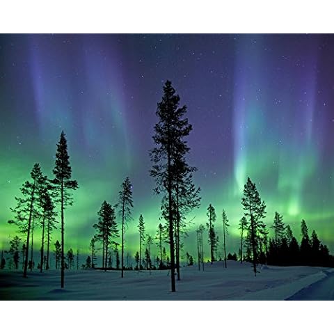 Wall Rogues WR50512 Aurora Borealis/Northern Lights - Paste The Wall Wallpaper Mural - 300cm x 240cm - Blue Cover