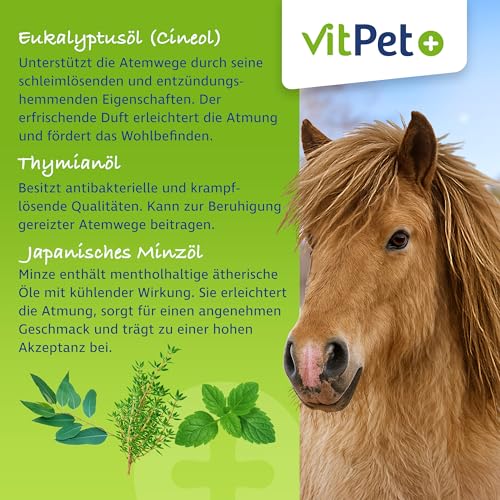 VitPet+ PneumoCare – Hustensaft für Pferde – 1000 ml – Bei Husten Pferd – Schleimlösend und beruhigend – Mit Eukalyptus, Thymian und Olivenblattextrakt – Unterstützt Bronchien und Immunsystem