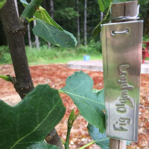 Aluminum Plant Label, 120Pcs Metal Plant Labels Aluminum Tree Tags With Metal Wires Double-Sided Write On Metal Tags For Plant Markers, Tree Tags, Outdoor Identification And Greenhouse (120Pcs) #TOP5