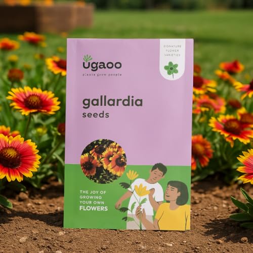 UGAOO Gallardia Flower Seeds (Orange, Pack of 200)