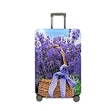 ✈ Funktionales und praktisches Design: Die oberseite des kofferhülle hat 2 öffnungen an der oberseite für teleskopgriff und tragegriff, beide seiten haben reißverschlüsse für seitliche griffe. Leicht und praktisch, Einfach zu installieren und deinstallieren. Er lässt sich sehr klein zusammenfalten und ist somit leicht zu verstauen und zu transportieren.