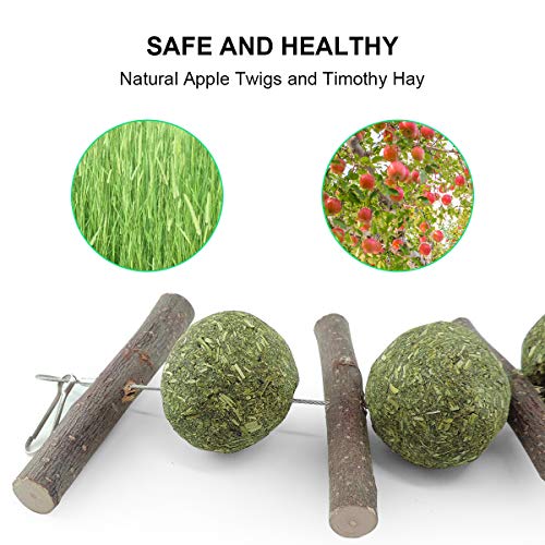 WBYJ Apple Sticks Giochi Criceto, Fieno per