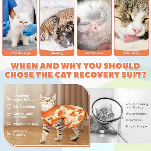 Combinaison chirurgicale chat anti-léchage et respirante