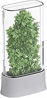 vacane Herb Keeper for Fridge: Fresh Herb Saver Storage Container for Cilantro, Asparagus, Mint | Dishwasher Safe, BPA-Free