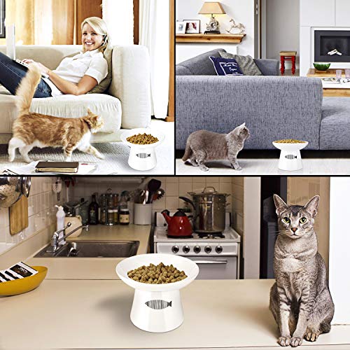 Yangbaga Cat Raised Food/Water Bowl For Elder Big Cats, Non-Skid 4.8X6.4In Premium Ceramic Cat Bowls With Stand, Sturdy And Anti-Fall… (White) #TOP6