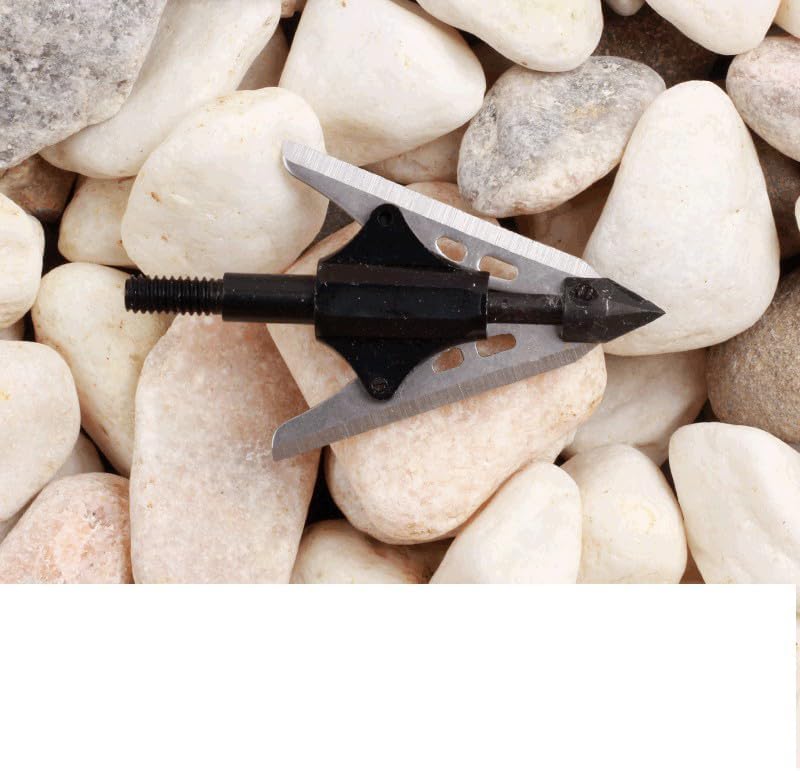 10pcs Archery 2 Extensible Blade Broadhead Arrow Head Tips Points Archery Recurve Compound Crossbow Hunting Accessory