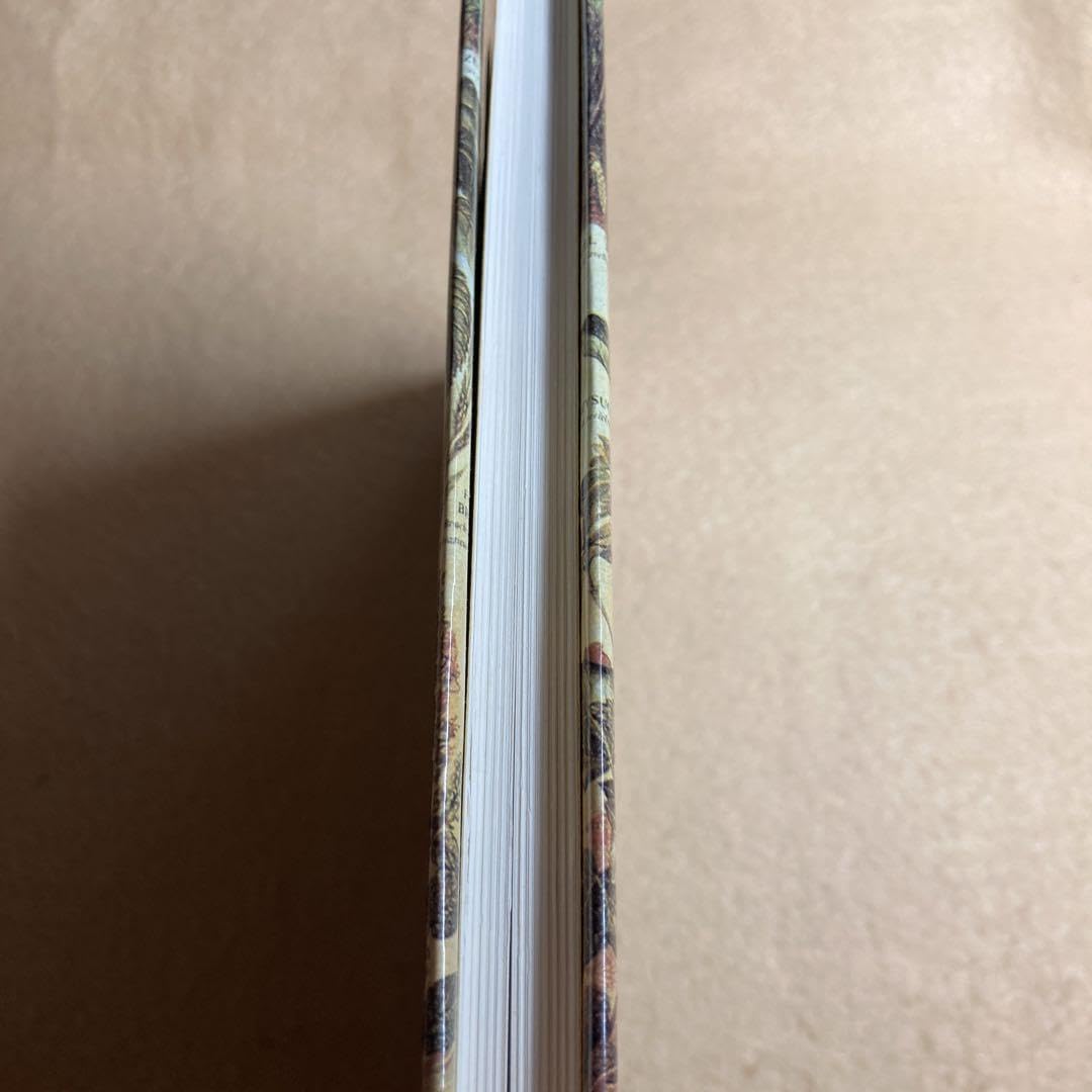 Amazon.co.jp: M6黄金郷 上野ちづこ句集 深夜叢書 上野千鶴子 : おもちゃ