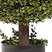 Nearly Natural 27in. Boxwood Ball Topiary