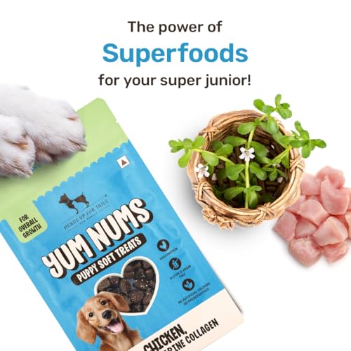Image of Yum Nums by HUFT Soft & Chewy Sticks - 70 gm (Pack of 5) | Chicken, Brahmi & Marine Collagen Puppy Soft Treats | Healthy Dog Treats for Puppies | Puppy Training Treats | High Protein, Joint Support
